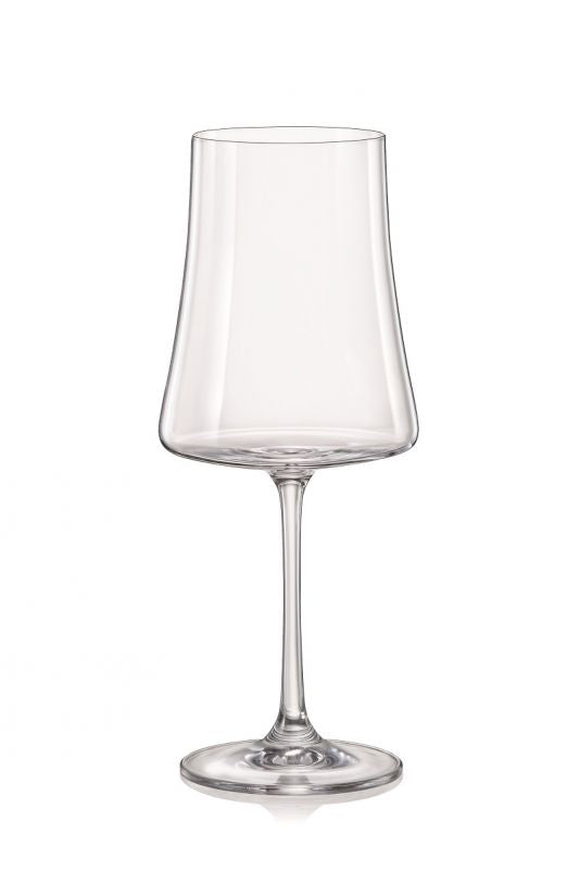  Home-X - Elegantes copas de cristal de plástico duro  irrompibles, Ideal para vino y champán